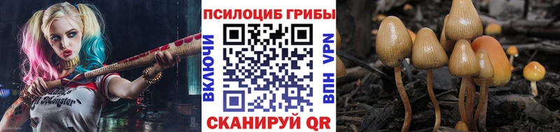 Псилоцибиновые грибы ЛСД  что такое   Макушино 
